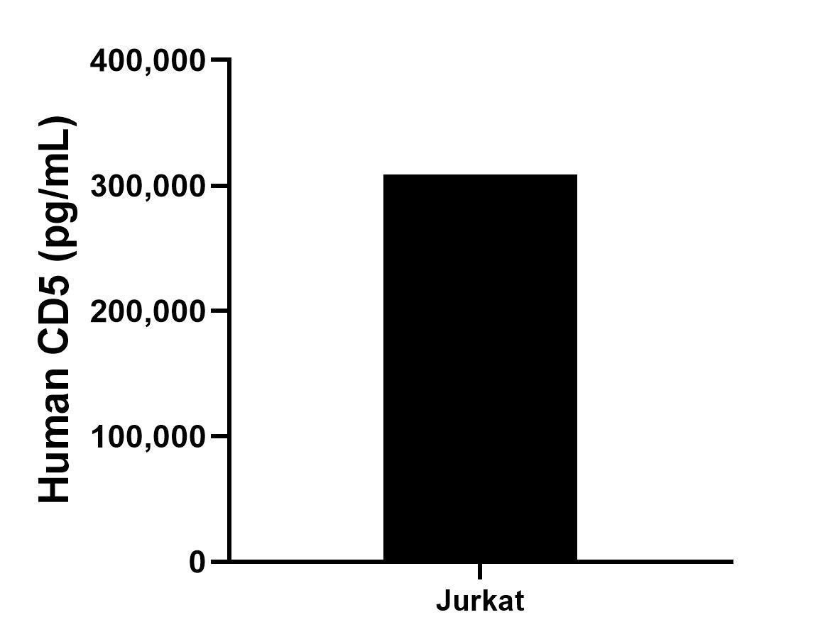 The mean human CD5 concentration was determined to be 308,651.0 pg/mL in Jurkat cell extract based on a 3.6 mg/mL extract load.